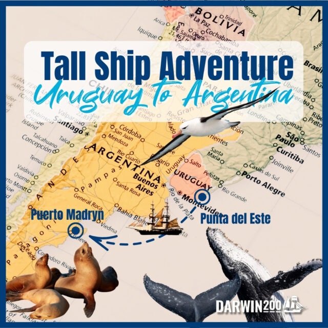 Tall ship sailing adventure Uruguay to Argentina